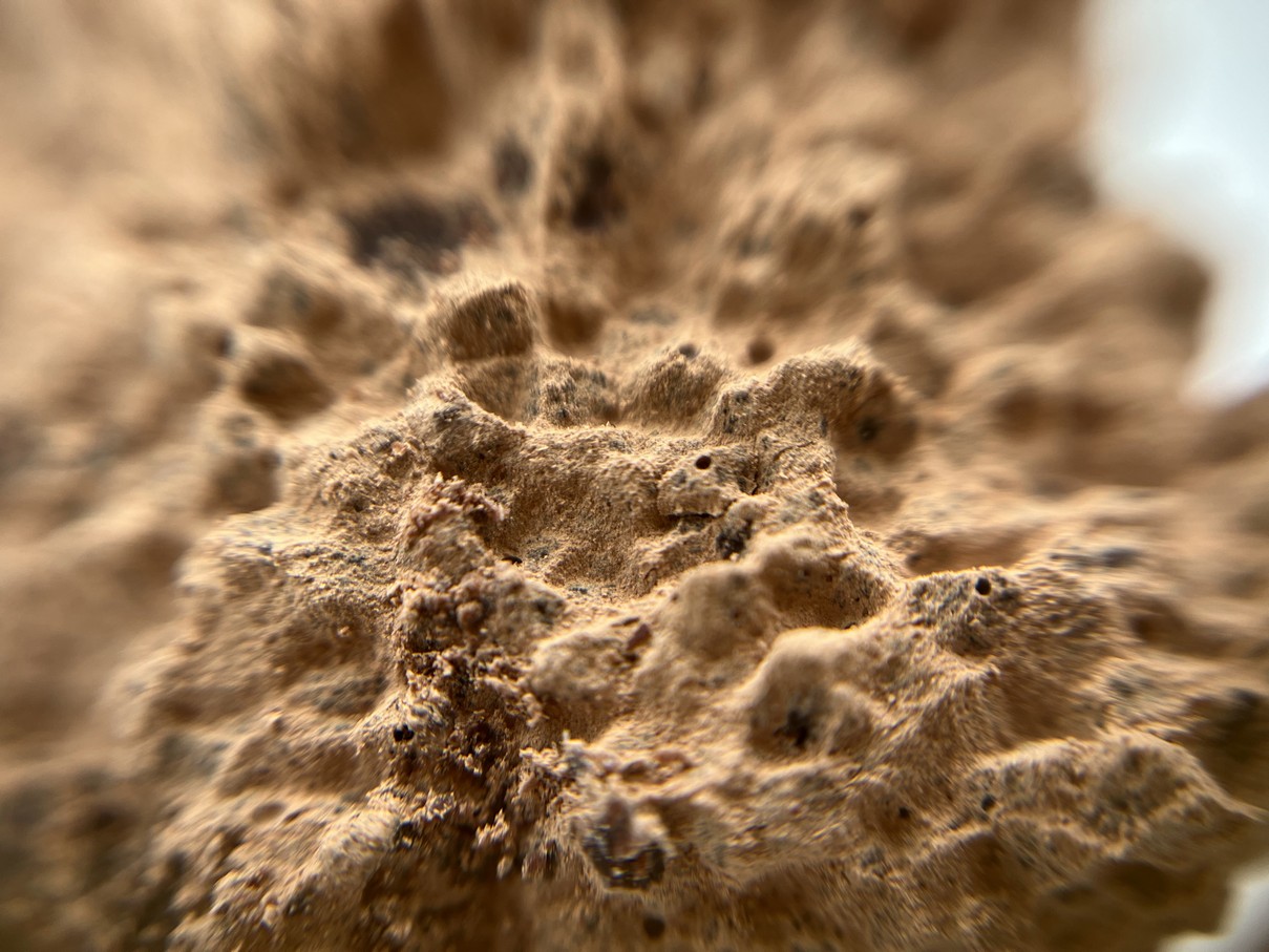 Amazonas Guara (дикий какао) *Microlot 100г